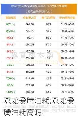 双龙爱腾油耗,双龙爱腾油耗高吗