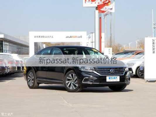 新passat,新passat价格