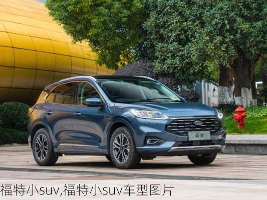 福特小suv,福特小suv车型图片