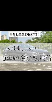 cls300,cls300奔驰多少钱报价