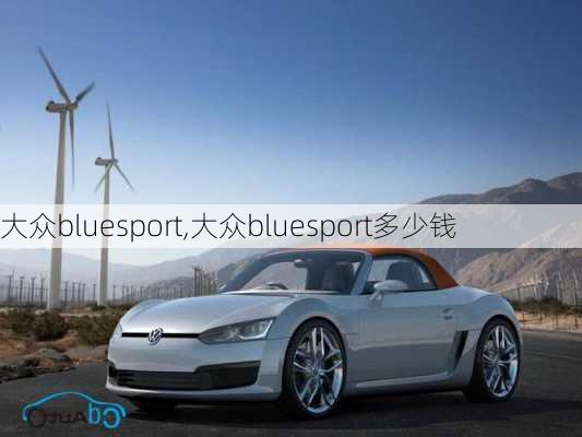 大众bluesport,大众bluesport多少钱