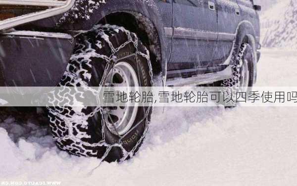 雪地轮胎,雪地轮胎可以四季使用吗