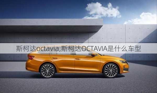 斯柯达octavia,斯柯达OCTAVIA是什么车型