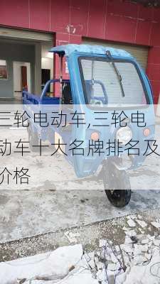 三轮电动车,三轮电动车十大名牌排名及价格