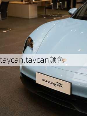 taycan,taycan颜色