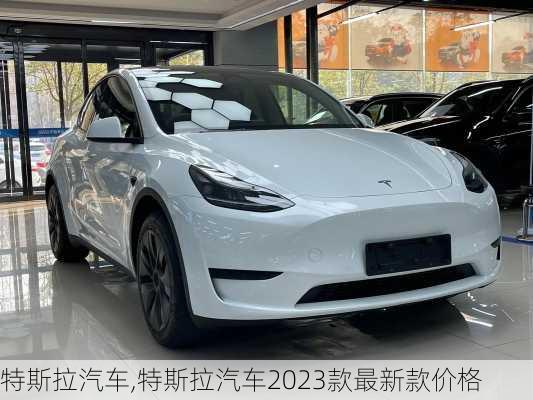 特斯拉汽车,特斯拉汽车2023款最新款价格