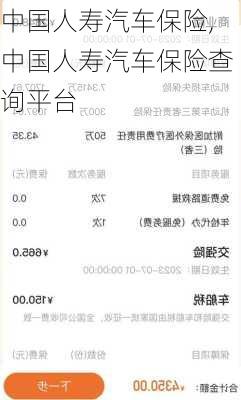 中国人寿汽车保险,中国人寿汽车保险查询平台