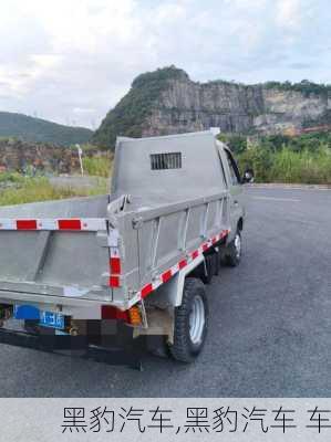 黑豹汽车,黑豹汽车 车