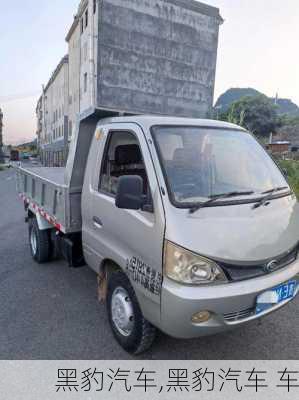 黑豹汽车,黑豹汽车 车