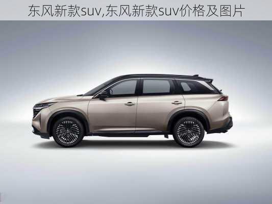 东风新款suv,东风新款suv价格及图片