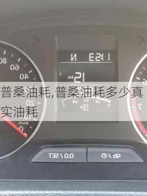 普桑油耗,普桑油耗多少真实油耗