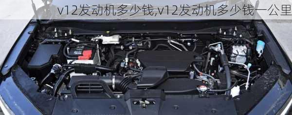 v12发动机多少钱,v12发动机多少钱一公里