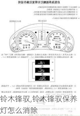 铃木锋驭,铃木锋驭保养灯怎么消除