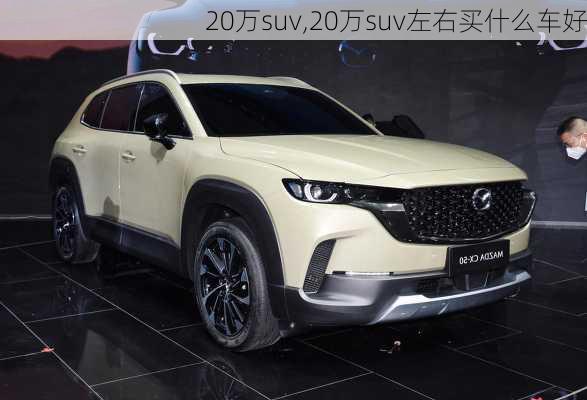 20万suv,20万suv左右买什么车好