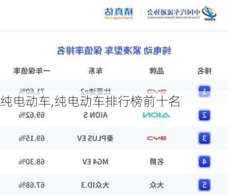 纯电动车,纯电动车排行榜前十名