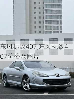 东风标致407,东风标致407价格及图片