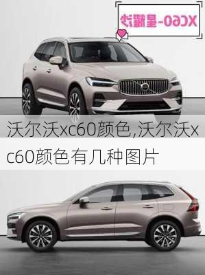 沃尔沃xc60颜色,沃尔沃xc60颜色有几种图片