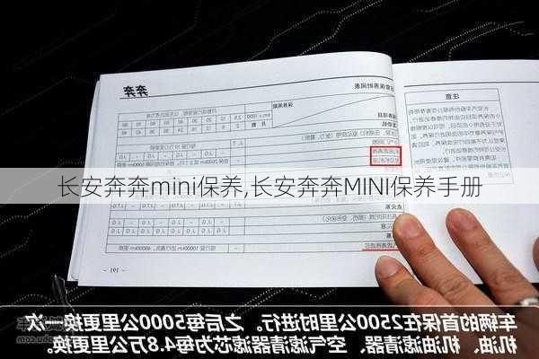 长安奔奔mini保养,长安奔奔MINI保养手册