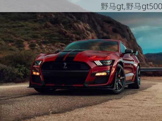 野马gt,野马gt500