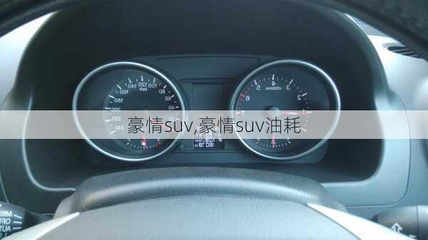 豪情suv,豪情suv油耗