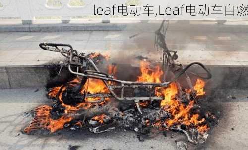 leaf电动车,Leaf电动车自燃