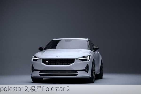 polestar 2,极星Polestar 2