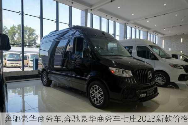 奔驰豪华商务车,奔驰豪华商务车七座2023新款价格