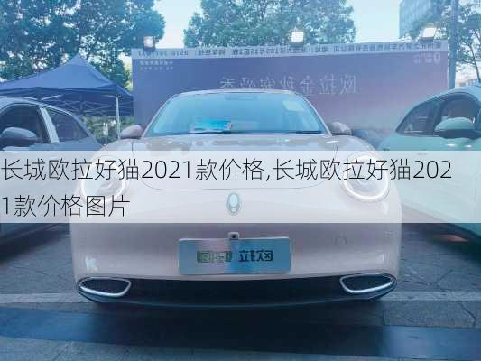 长城欧拉好猫2021款价格,长城欧拉好猫2021款价格图片