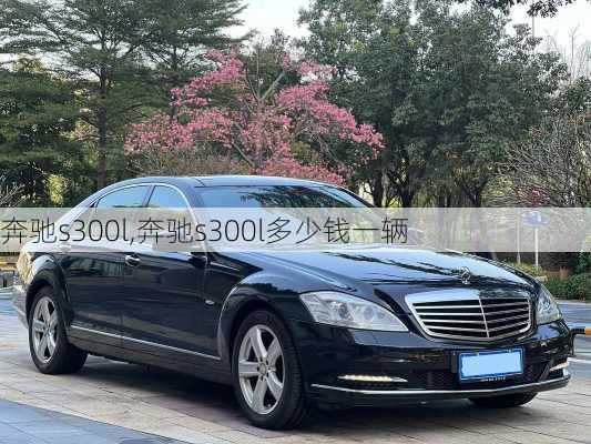 奔驰s300l,奔驰s300l多少钱一辆