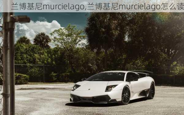 兰博基尼murcielago,兰博基尼murcielago怎么读