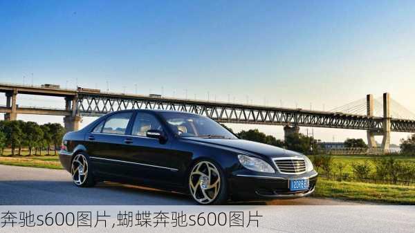 奔驰s600图片,蝴蝶奔驰s600图片