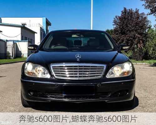 奔驰s600图片,蝴蝶奔驰s600图片