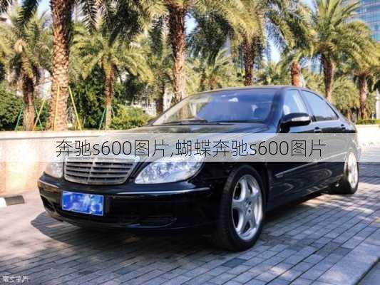 奔驰s600图片,蝴蝶奔驰s600图片