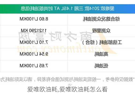爱唯欧油耗,爱唯欧油耗怎么看