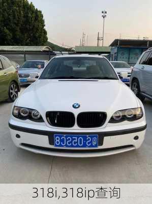 318i,318ip查询