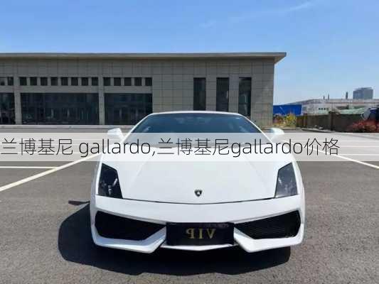 兰博基尼 gallardo,兰博基尼gallardo价格