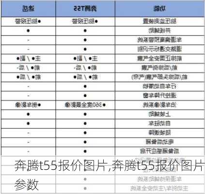 奔腾t55报价图片,奔腾t55报价图片参数