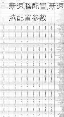 新速腾配置,新速腾配置参数