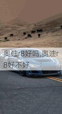 奥迪r8好吗,奥迪r8好不好