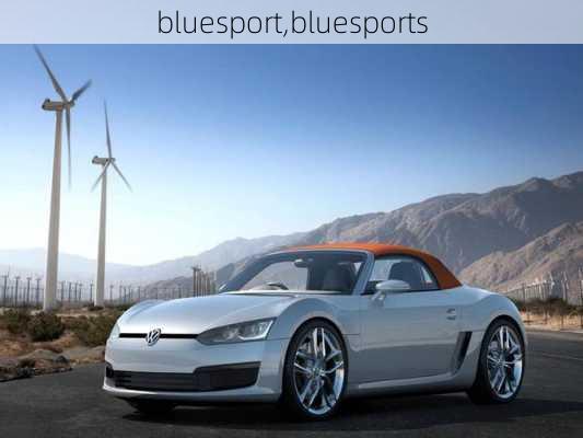 bluesport,bluesports