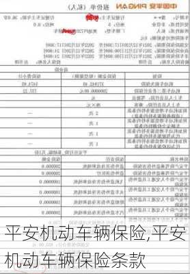 平安机动车辆保险,平安机动车辆保险条款