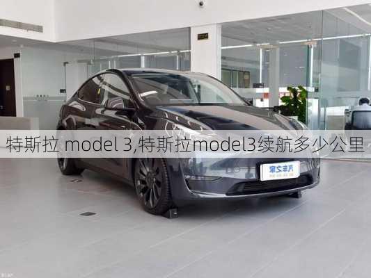 特斯拉 model 3,特斯拉model3续航多少公里