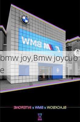 bmw joy,Bmw joycube