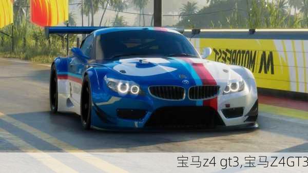 宝马z4 gt3,宝马Z4GT3