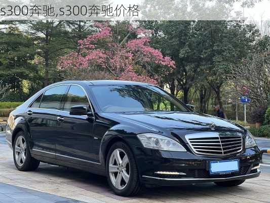 s300奔驰,s300奔驰价格