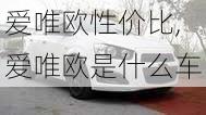 爱唯欧性价比,爱唯欧是什么车