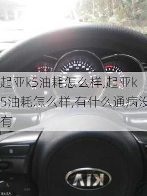 起亚k5油耗怎么样,起亚k5油耗怎么样,有什么通病没有