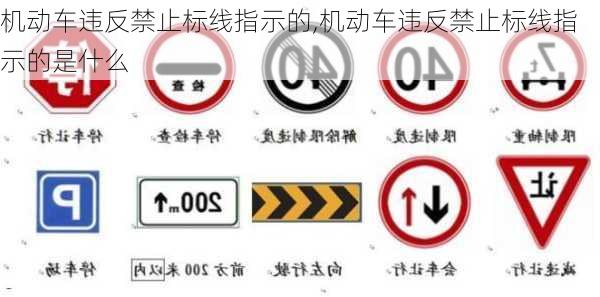 机动车违反禁止标线指示的,机动车违反禁止标线指示的是什么