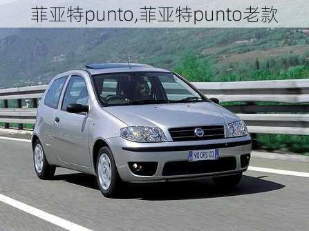 菲亚特punto,菲亚特punto老款