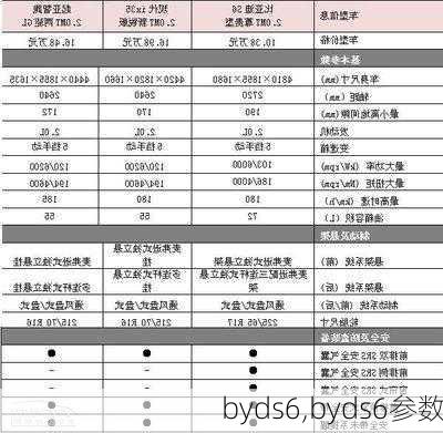 byds6,byds6参数